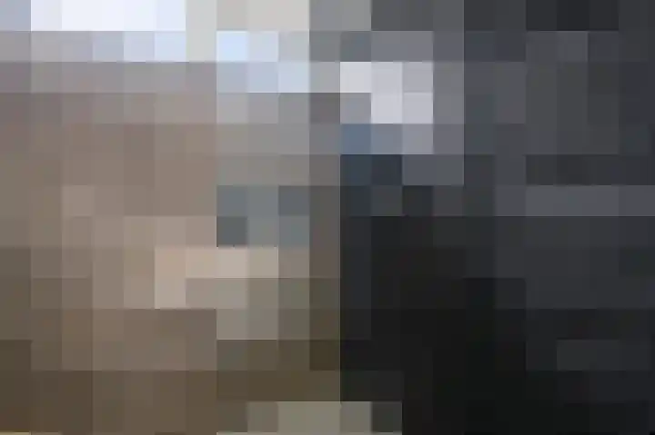 Geestakker 35 Heiloo thumbnail 31