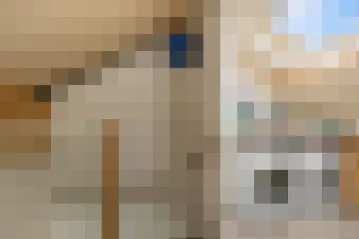Geestakker 35 Heiloo thumbnail 35