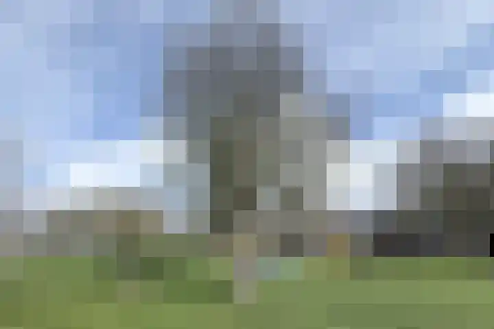 Geestakker 35 Heiloo thumbnail 48