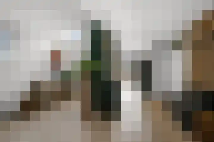 Geestakker 35 Heiloo thumbnail 7