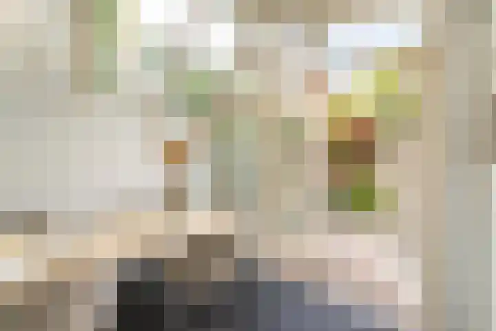 Geestersingel 7 Alkmaar thumbnail 18