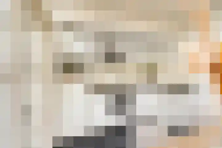 Geestersingel 7 Alkmaar thumbnail 19