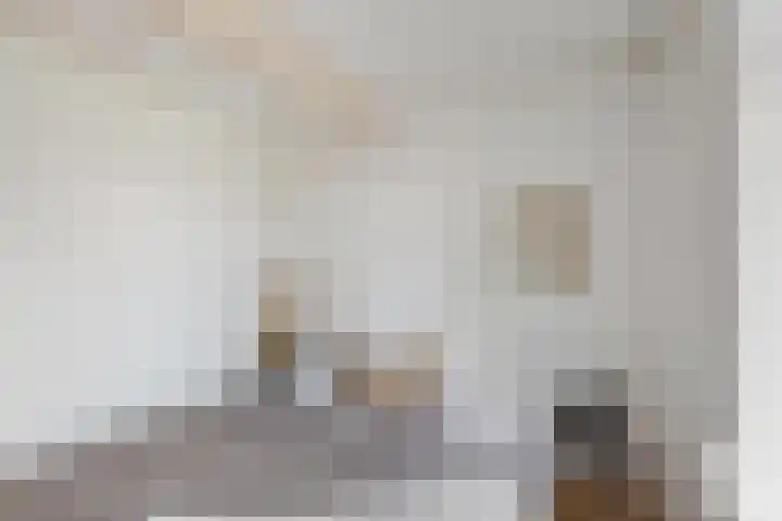 Geestersingel 7 Alkmaar thumbnail 21