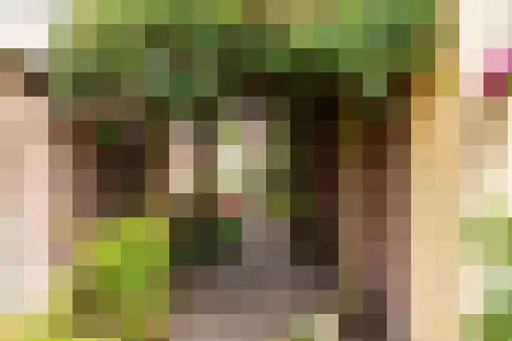 Geestersingel 7 Alkmaar thumbnail 37