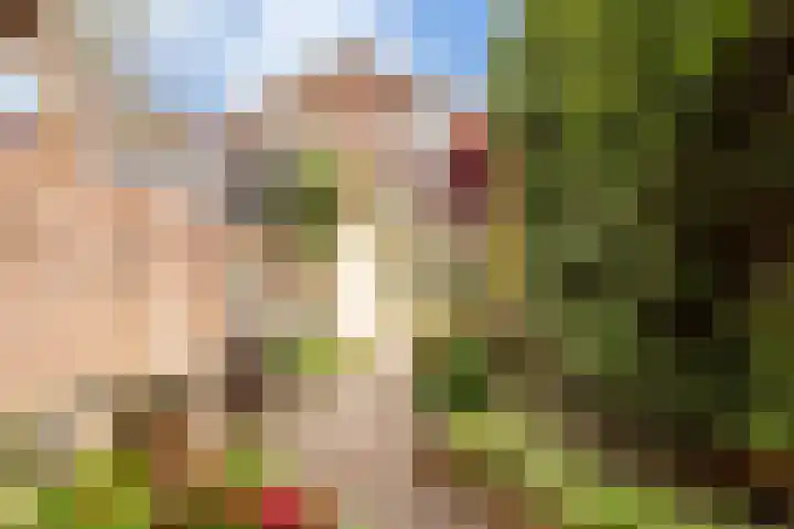 Geestersingel 7 Alkmaar thumbnail 41