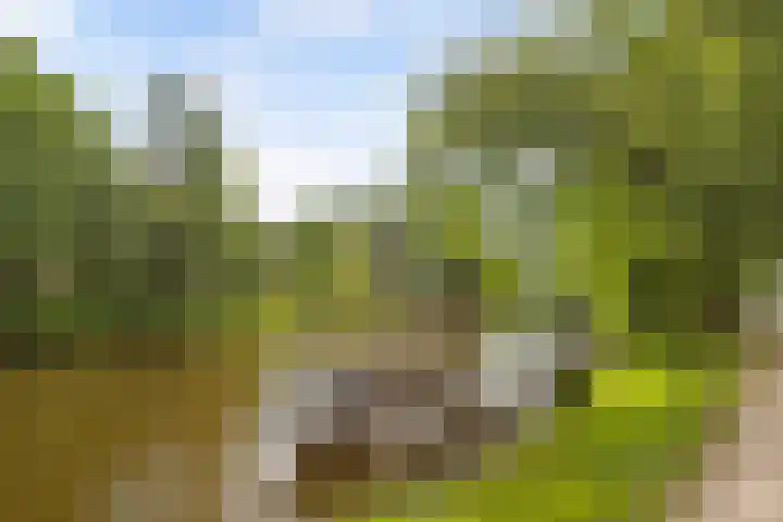 Geestersingel 7 Alkmaar thumbnail 44