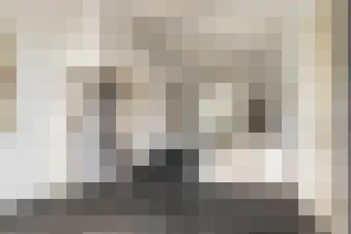 Geestersingel 7 Alkmaar thumbnail 9