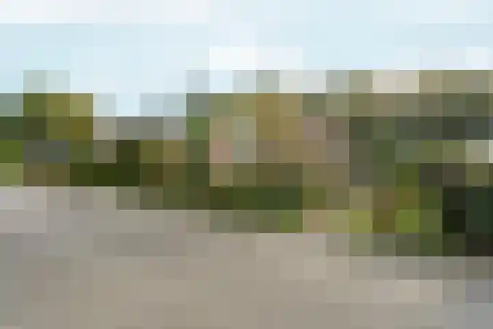 Geffenstraat 19 Arnhem thumbnail 36