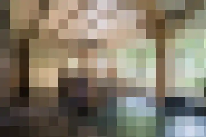 Geheugden 5 Nederweert thumbnail 11