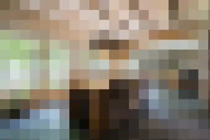 Geheugden 5 Nederweert thumbnail 13