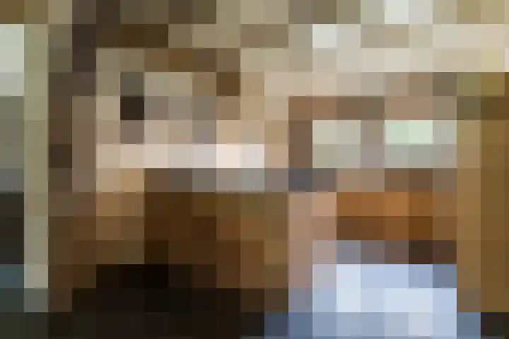Geheugden 5 Nederweert thumbnail 14
