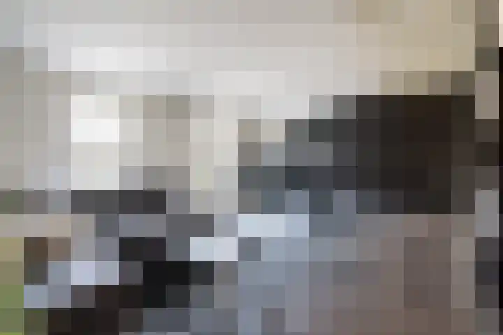 Geheugden 5 Nederweert thumbnail 18
