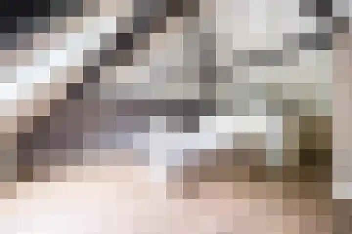 Geheugden 5 Nederweert thumbnail 31