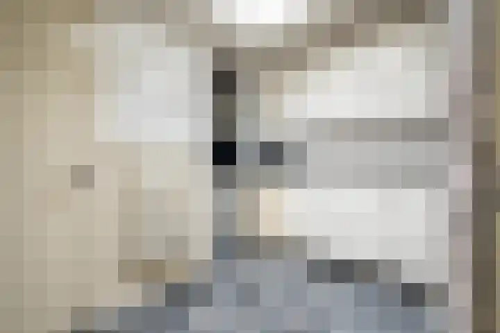 Geheugden 5 Nederweert thumbnail 57