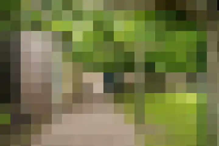 Geheugden 5 Nederweert thumbnail 71
