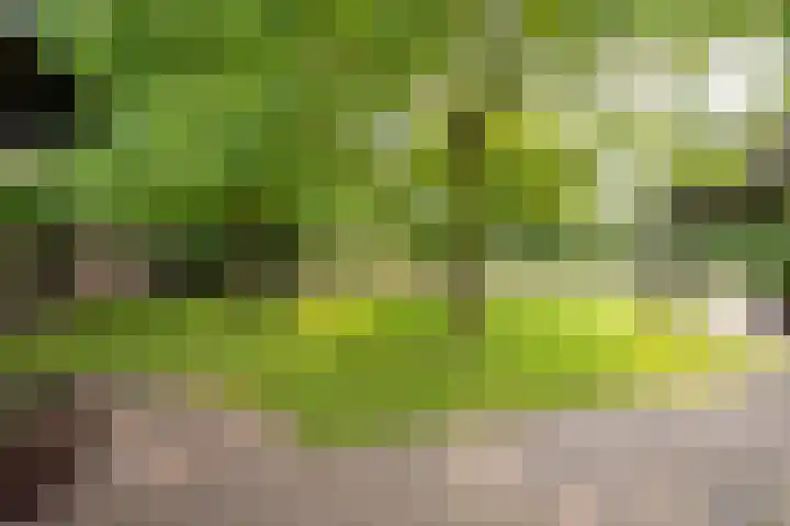 Geheugden 5 Nederweert thumbnail 73