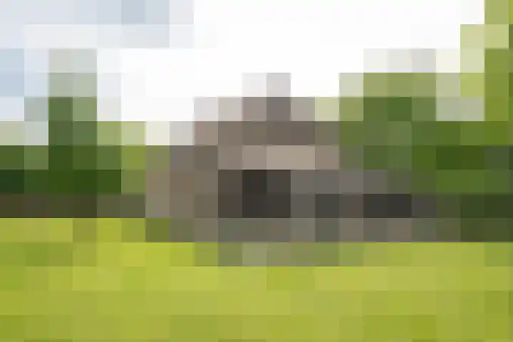 Geheugden 5 Nederweert thumbnail 74