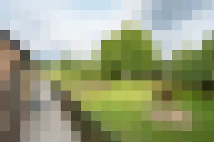 Geheugden 5 Nederweert thumbnail 76