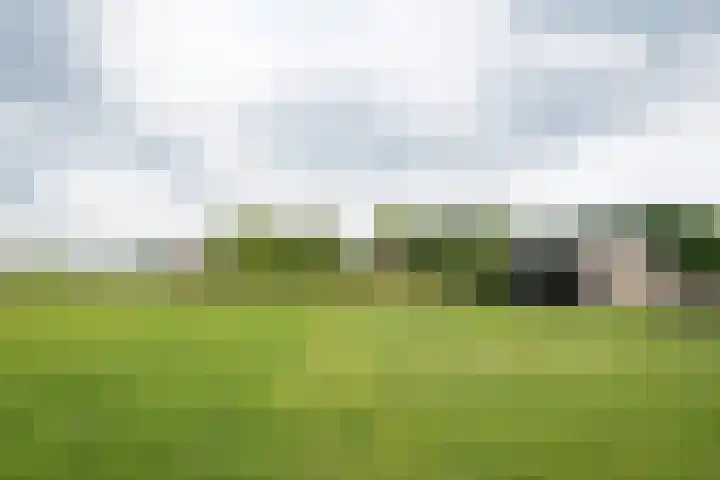 Geheugden 5 Nederweert thumbnail 79