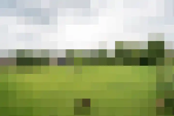 Geheugden 5 Nederweert thumbnail 80