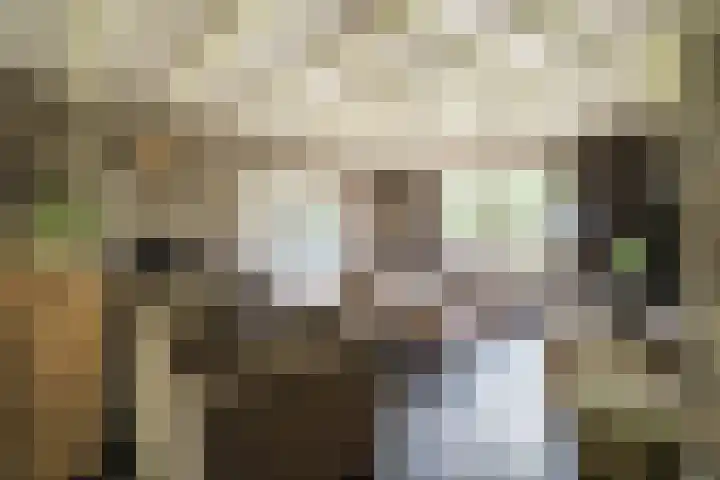 Geheugden 5 Nederweert thumbnail 9