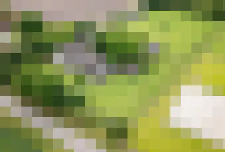 Geheugden 5 Nederweert thumbnail 94