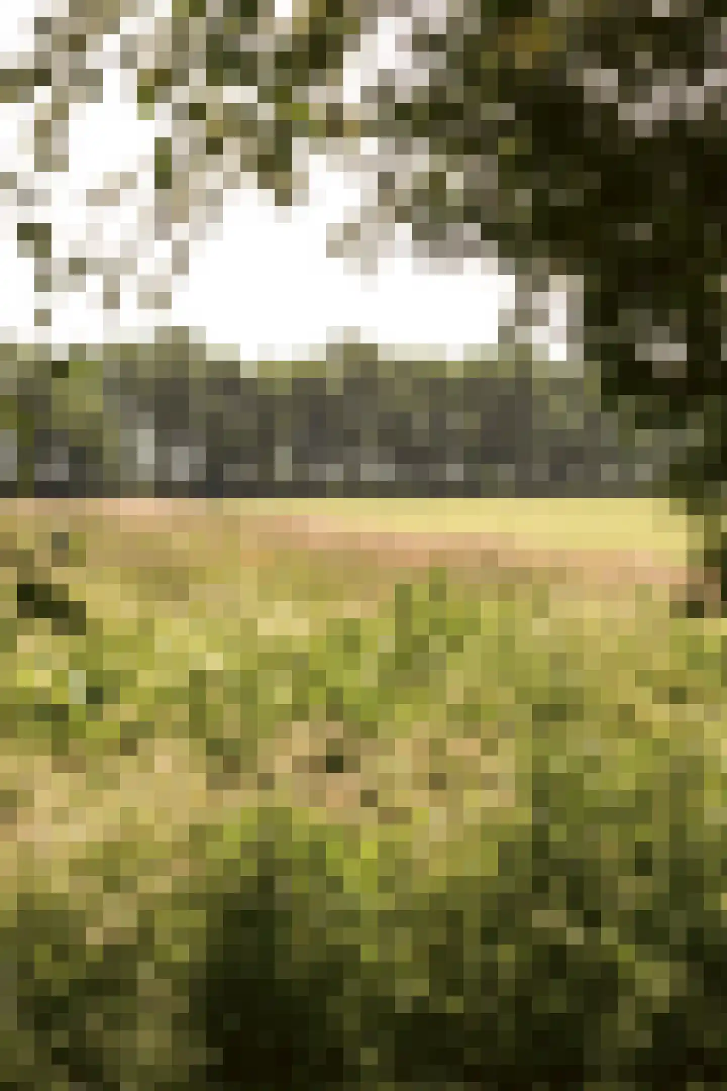 Gein-Zuid 52 Abcoude thumbnail 39