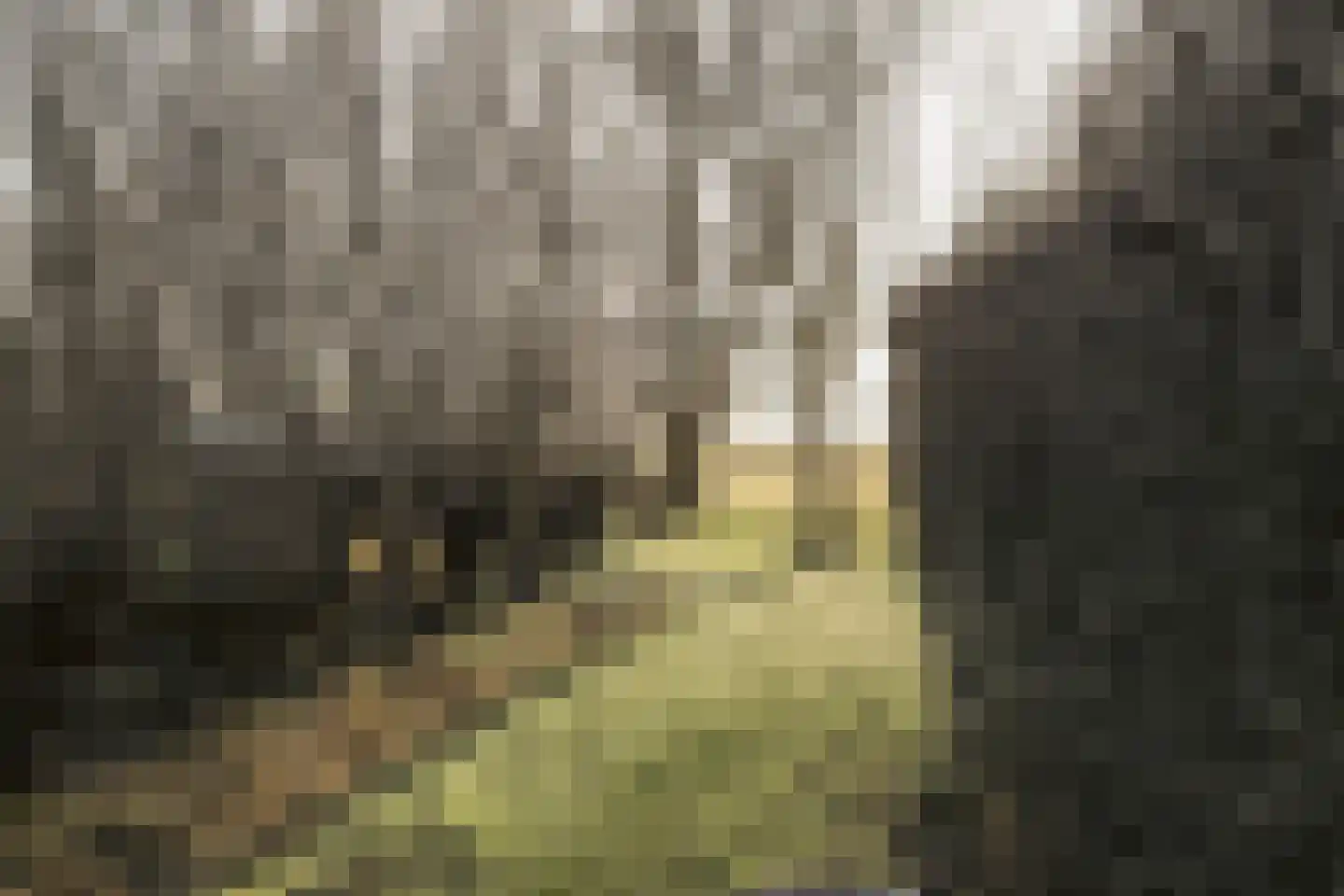 Gein-Zuid 52 Abcoude thumbnail 45