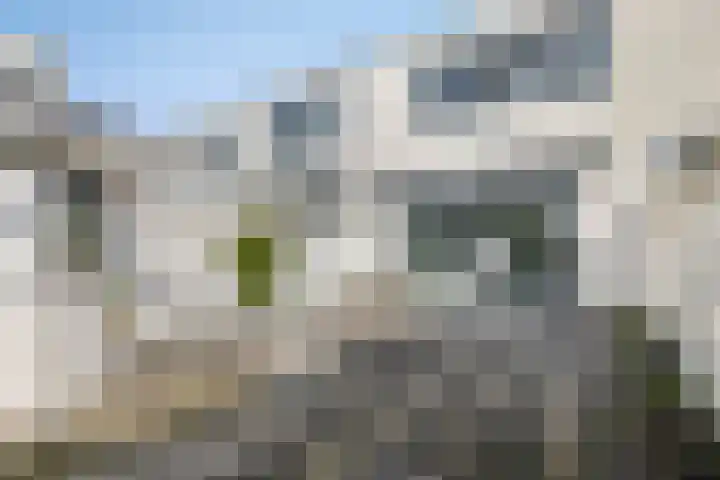 Geitenburg 6 Barendrecht thumbnail 20