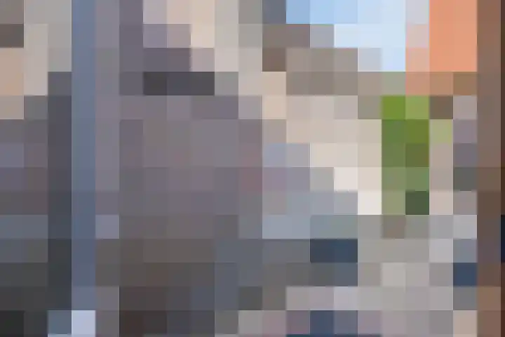 Geitenkamp 13 A Arnhem thumbnail 17