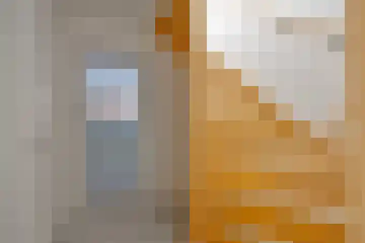 Geitenkamp 13 A Arnhem thumbnail 20
