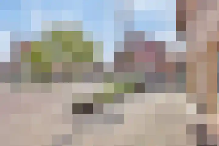 Geitenkamp 13 A Arnhem thumbnail 35