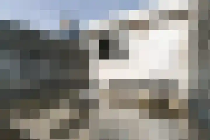 Geldelozepad 8 Dordrecht thumbnail 20