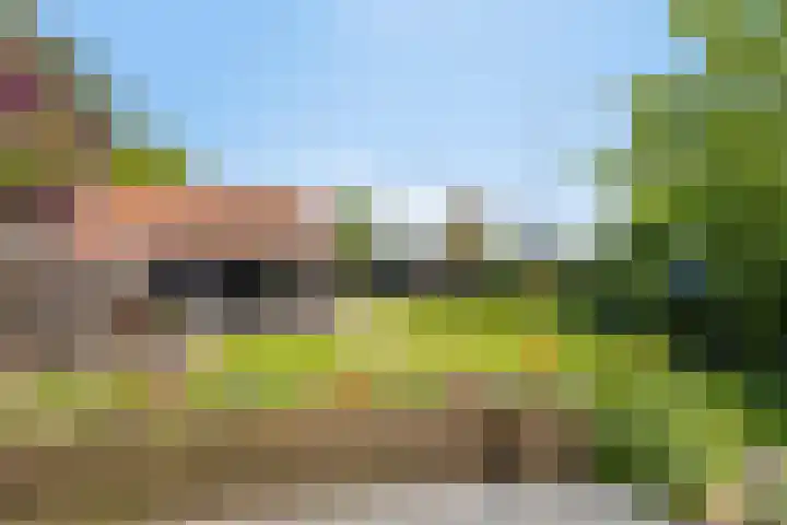 Geldersedijk 25 Dirksland thumbnail 37