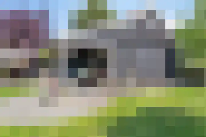 Geldersedijk 25 Dirksland thumbnail 42