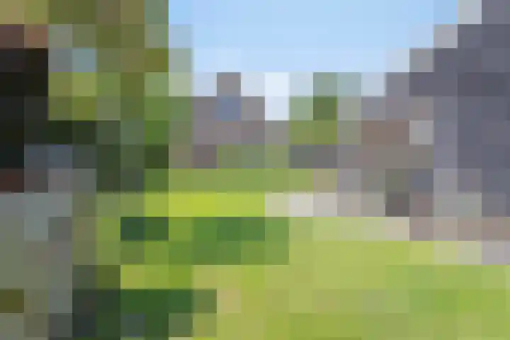 Geldersedijk 25 Dirksland thumbnail 44
