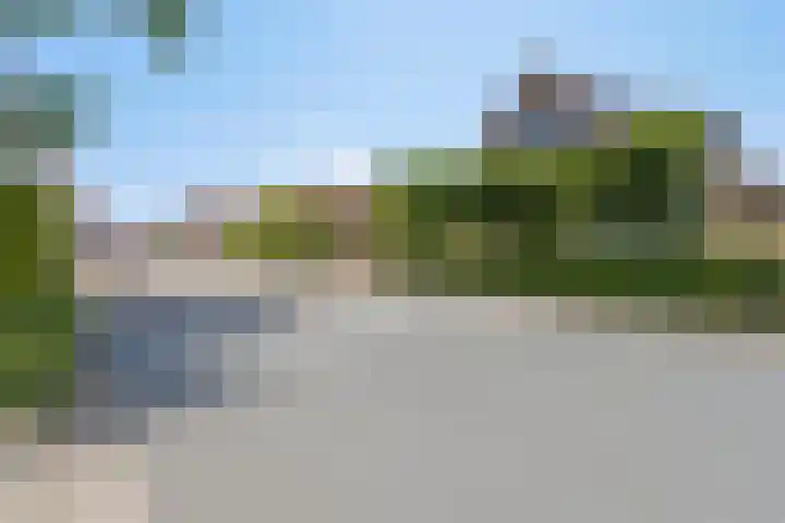Geldersedijk 25 Dirksland thumbnail 47