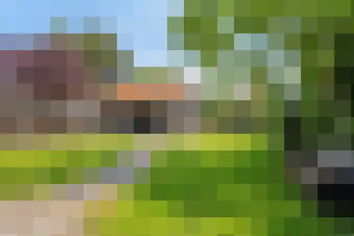 Geldersedijk 25 Dirksland thumbnail 5