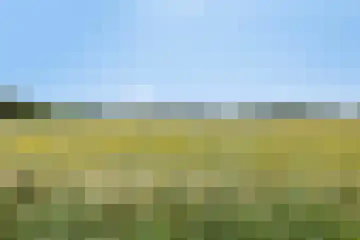 Geldersedijk 25 Dirksland thumbnail 52