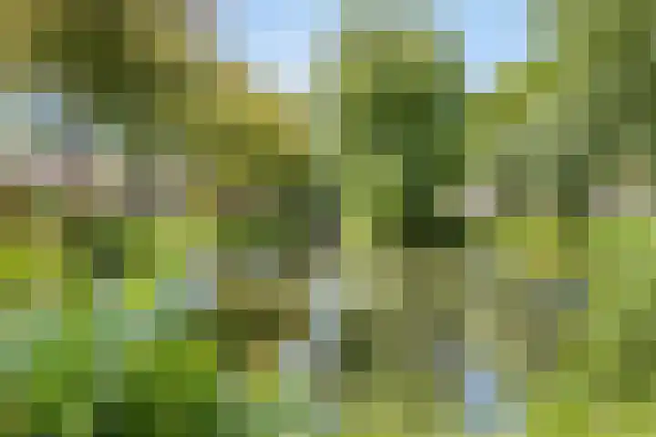 Geldersedijk 25 Dirksland thumbnail 53