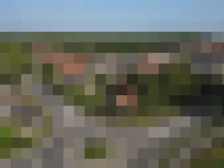 Geldersedijk 25 Dirksland thumbnail 54