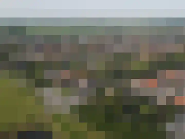 Geldersedijk 25 Dirksland thumbnail 56