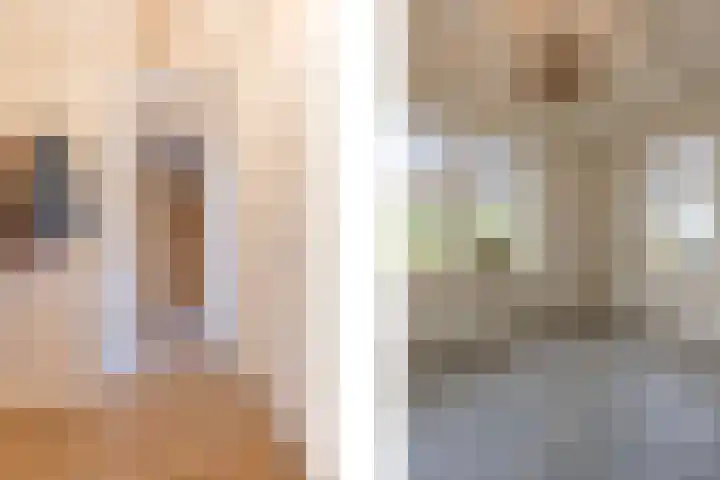 Geldersedijk 63 Hattem thumbnail 18