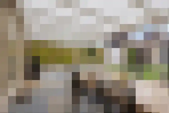 Geldropsedijk 9 Nuenen thumbnail 41