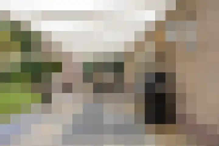 Geldropsedijk 9 Nuenen thumbnail 42