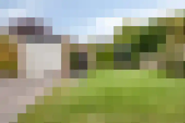 Geldropsedijk 9 Nuenen thumbnail 44