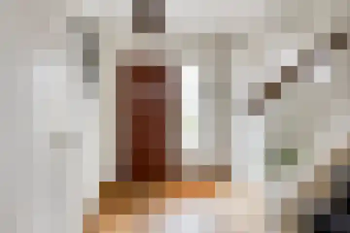 Geldropsedijk 9 Nuenen thumbnail 6