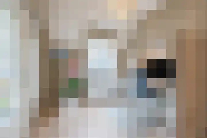 Geldropseweg 21 Heeze thumbnail 35