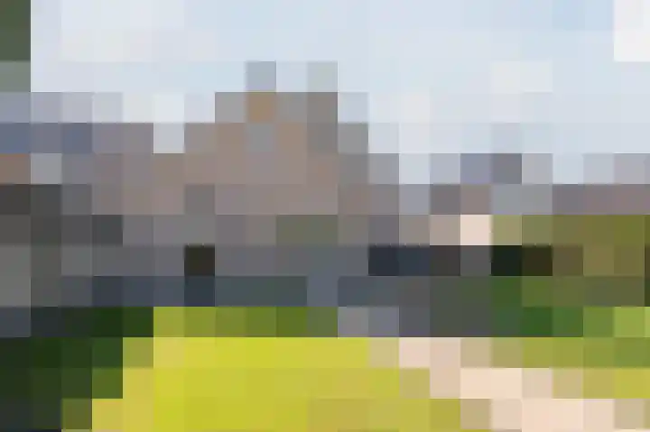 Geldropseweg 21 Heeze thumbnail 49