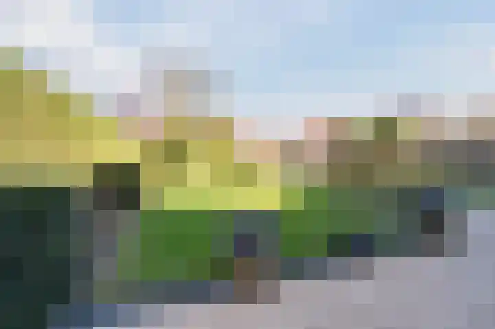 Geldropseweg 21 Heeze thumbnail 50